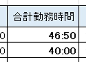 表示形式が設定