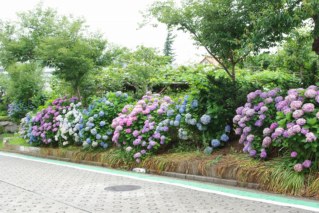その他４