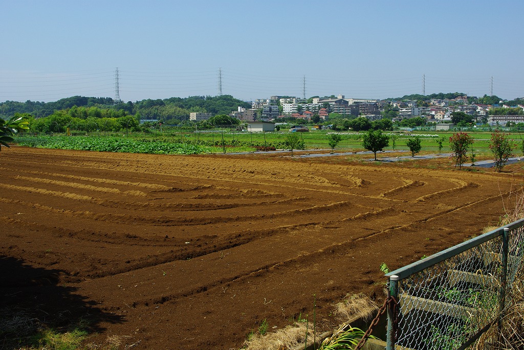 その他５