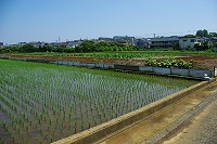 田園風景