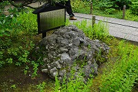 この石なんの石